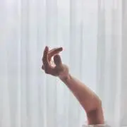 kamomeの画像