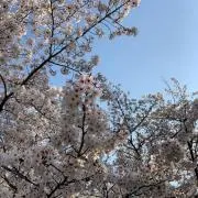 maの画像