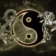 龍虎太極