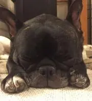 maromama