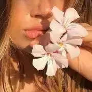 alohaの画像