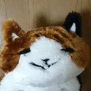 シャンちゃんの画像