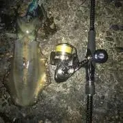 Mr.3150