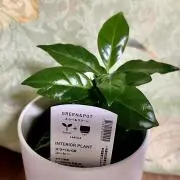 ⭐とわ⭐の画像