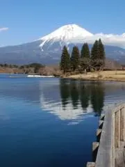 ◯すけの画像