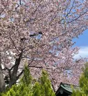 あーみの画像