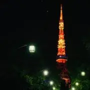 nの画像