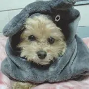 まろきちの画像