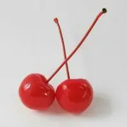 ROSETTAの画像