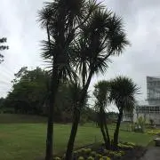 ライダー☆プロフ必読☆の画像