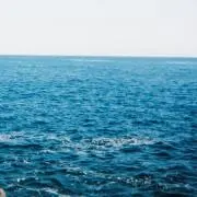 mayuの画像