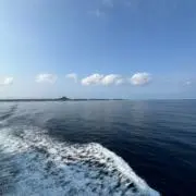 あの画像