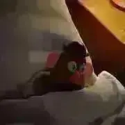 yuの画像