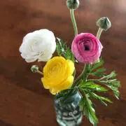 みかんの画像