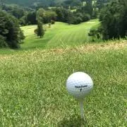 flymoonの画像