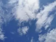 マロン