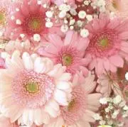 すずのshop⭐️翌日発送可能⭐️