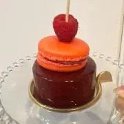 ドラミの画像