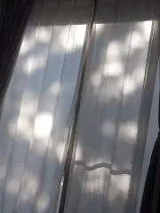 amo