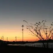 マル。の画像