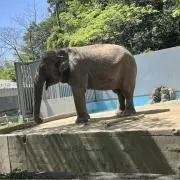 寿の画像