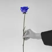 さとーの画像