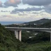 あおねぎの画像