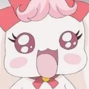 柑橘系の画像