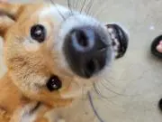 りゅーじ