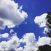 Hellofromtokyoの画像