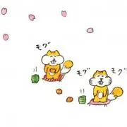 ＊こりす＊の画像