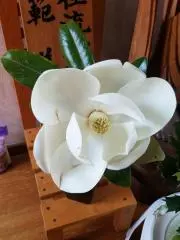 みつきの画像