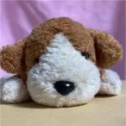 ぱんじーさんの画像