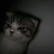 _の画像