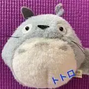 トトロの画像
