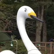 そらの画像