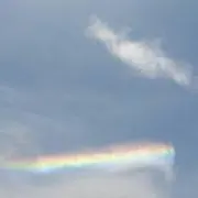 はむかつ。の画像