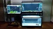 duke_tougou