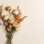 kikiの画像
