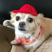 NANA