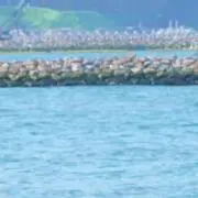 nicraの画像