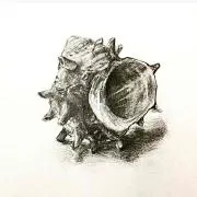 Kaikaiの画像