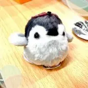 ゆづんの画像