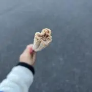 ちょこぱんの画像