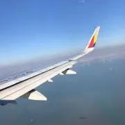 チアーズの画像