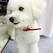 miu0725の画像