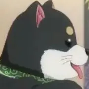 Ｙ