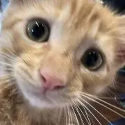 洸の画像