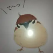 すずめの画像