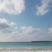 HAPPYMの画像